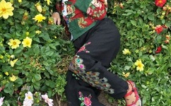 吴施蒙五段视频